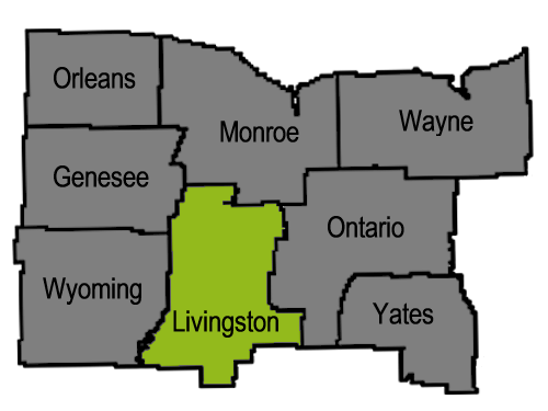 Livingston County Surveying and Mapping Locations