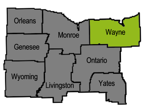 Wayne County Surveying and Mapping Locations
