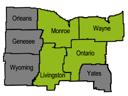 Rochester 8-County Area